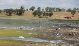 天鹅湖景区爆料信息最新,冬日浪漫之旅即将启幕