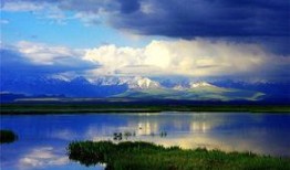 天鹅湖景区爆料信息最新,冬日浪漫之旅即将启幕