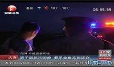 最新偷鱼爆料新闻视频大全,揭秘水下盗猎黑幕